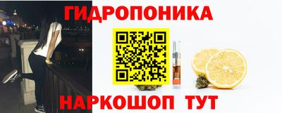 прущие грибы Балахна