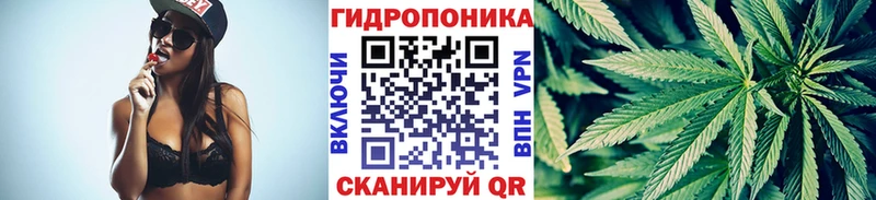 Бошки марихуана конопля omg вход Екатеринбург
